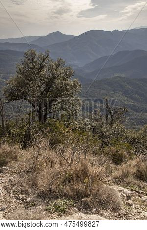 Collsacabra Mountains Landscape In Guilleries National Park In Catalonia