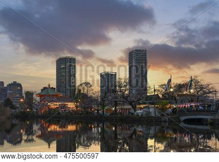 Tokyo, Japan - March 30 2023: Sunset View Of Cherry Blossom Trees Reflected In The Pond Of Kaneiji T