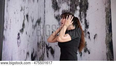 Mold Damage On House Wall. Woman Looking At Wet Moisture