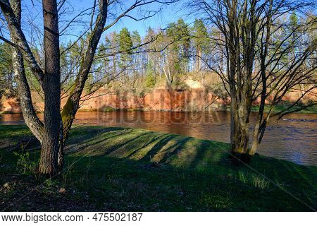 The Red Banks Of Sandstone. Salaca River, Red Cliffs, Latvia