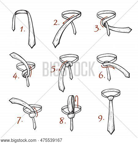 Tying Tie Knot Diy Vector & Photo (Free Trial) | Bigstock