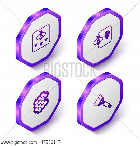 Set Isometric Type Of Bee, Bee Location, Honeycomb And Beekeeping Brush Icon. Purple Hexagon Button.