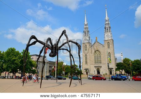 Notre-Dame katedral Basilica og Maman