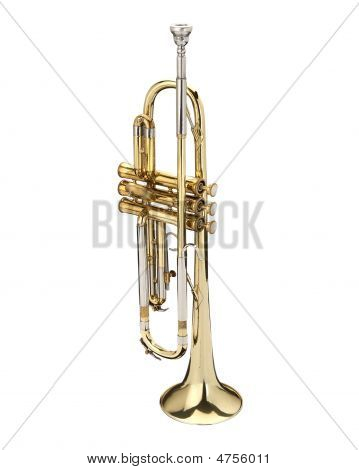 트럼펫