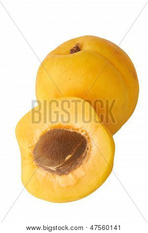 Fresh Apricot