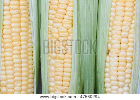 Fresh Corn