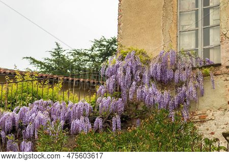 Exterior Of San Sebastiano Da Po Castle, Torino, Piemonte Region, Italy Surrounded By Nature With Be