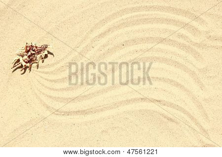 浜辺の砂の背景