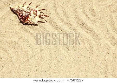 浜辺の砂の背景