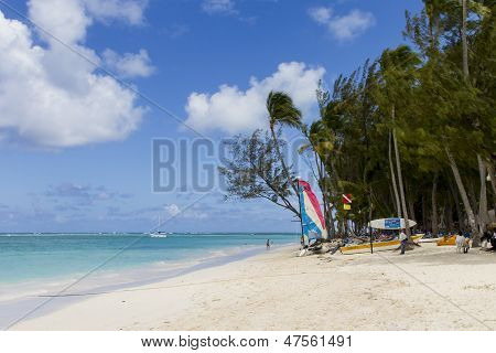 Tropical beach