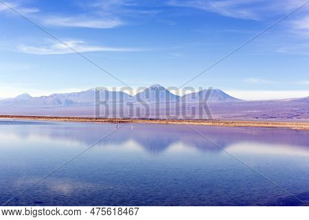 View Of Chaxa Lagoon