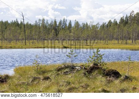 View Of Landscape In Lake Region Of Finland