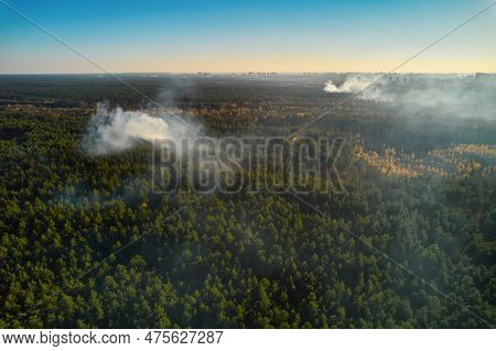 Burning Forest With Fire And Smoke. Aerial Top View From Drone