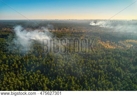 Strong Fire In An Empty Forest. Fire Spreads In A United Front, Strong Smoke From The Burning Place.