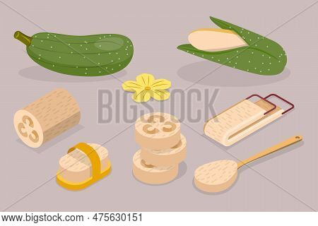 3d Isometric Flat Vector Set Of Vietnamese Luffa, Loofah Vegetable
