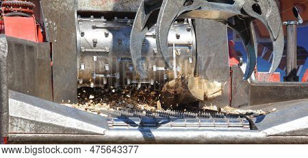 Tree Harvest Machine Cutting Old Tree Log. Wood Cutting Harvester Machine Close Up.