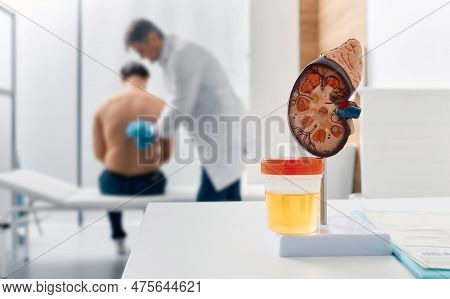 Urology And Treatment Of Kidney Disease. Doctor Doing Kidney Exam For Male Patient With Kidney Disea