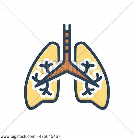 Color Illustration Icon For Respiratory Inhaling Panting Wheezing Gasping Lungs Pulmonary Trachea Br