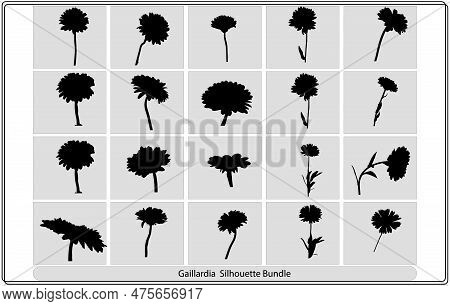 Blanket Flower Glyph Icon. Gaillardia Aristata Garden Plant.