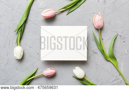 Composition With Blank Card And Beautiful Flowers Tulip On Coloredbackground. Top View With Space Fo