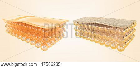Structure Of Healthy And Damaged Skin, Young And Old, Normal And Dry, Collagen And Elastin, 3d Rende
