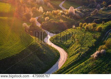 Beautiful Green Spring Landscape In The Polish Countryside. Winding Road Among Green Grass And Flowe