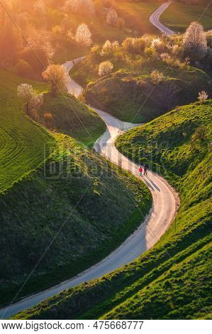 Beautiful Green Spring Landscape In The Polish Countryside. Winding Road Among Green Grass And Flowe