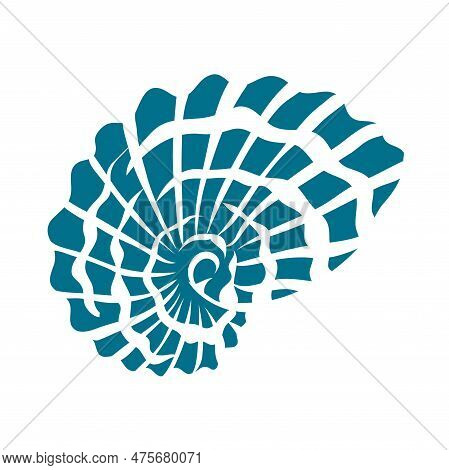 Snail Sea Shell. Marine Underwater Twisted Seashell. Spiral Shape. Undersea Mollusc. Animal And Wild