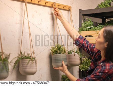 Female Hanging The Ceramic Tree Pot On To The Wall For Decorate In Domestic Room.