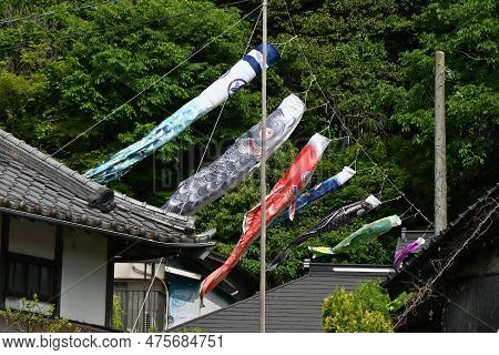Japanese 'koinobori' ( Carp Streamer ) . A Big Carp Is A Father, Next Mom, And Children Are Below. P