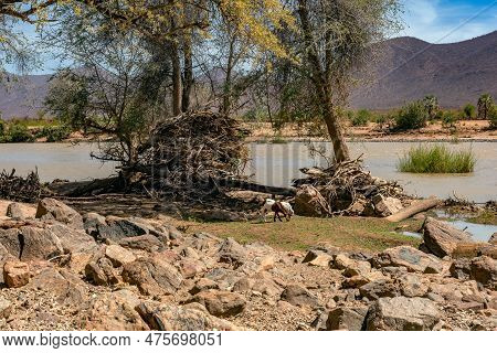 Landscape On The Banks Of The Kunene River, The Border River Between Namibia And Angola