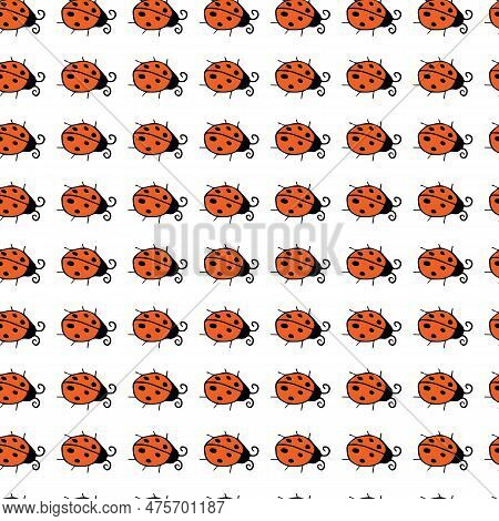 Cartoon Cute Ladybugs Vector Illustration. Cartoon Ladybirds, Summer Insect Digitall Illustration. D