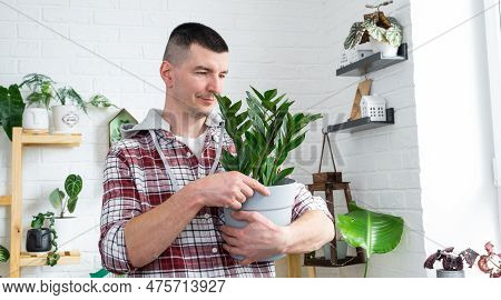 Unpretentious And Popular Zamiokulkas In Hands Of A Man In Interior Of A Green House With Shelving C