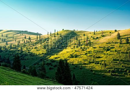 Belle colline avec des arbres et schrubs