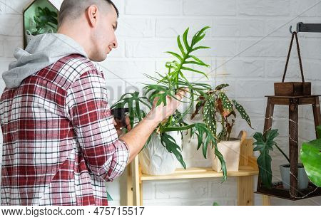 Man Plant Breeder Examines And Admires Home Plants In A Pot, Search For Pests, Care, Watering, Ferti