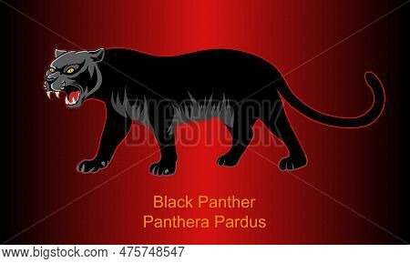 Black Panther On Abstract Background  - Illustration, 
Side View Image Isolated On Abstract Backgrou