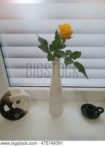 Flowers, Flowers Outside, Beautiful Flowers, Red Flowers, Yellow Flowers, Pink Flowers, Roses, Pink 