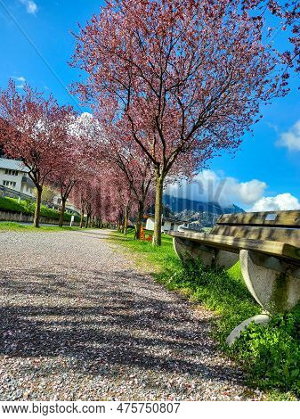 On The Street In Zams (tirol, Austria)