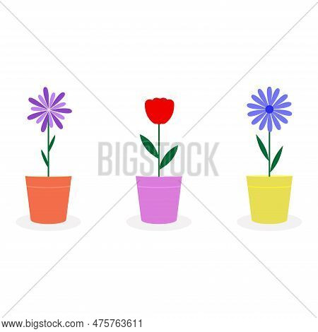 Set Of Colorful Flowers In Pots. Bright Flat Plants In Flowerpots. Beautiful Vector Illustration