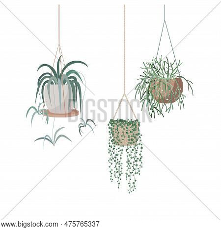 Hanging Houseplants Set In Flowerpots. Flat Hand Drawn Isolated Vector Illustration. Foliage For Mod