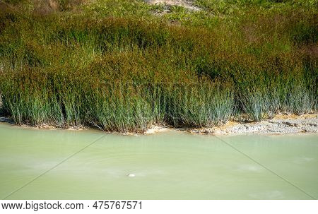 Milky Green Water Of The West Thumb Paint Pots In Yellowstone