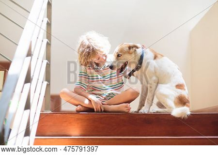 Little Boy And Dog On Stairs.