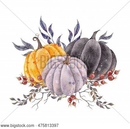 Watercolor Harvest Pumpkin With Tree Branches, Leaves And Roseship. Fall Holiday Hand Drawn Illustra