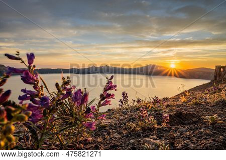 Sunset Light On The Rim Of Crater Lake From Skell Head In Summer