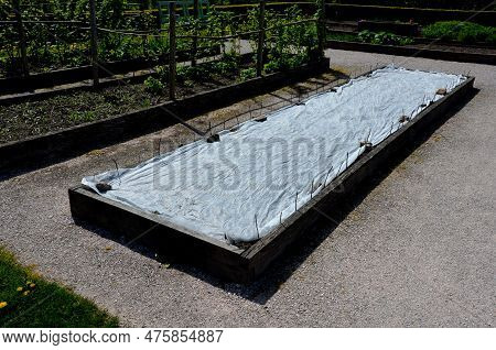 Frost Protection Of Vegetables. The Gardener Covered The White Breathable Foil Bed. Frost Does Not B