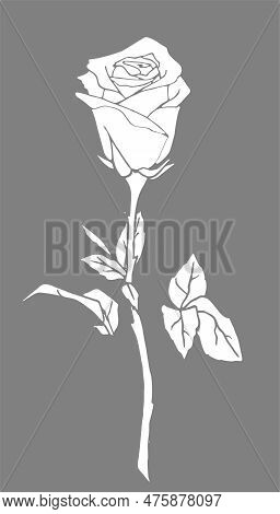 White Graphic Contour Drawing Of A Bouquet Of Flowers On A Gray Background, Design