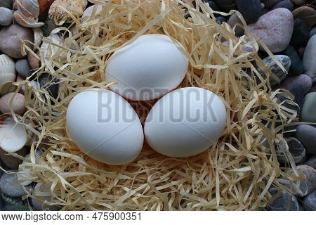 Shavins Nest With Three Eggs On A Pebbles Detailed Stock Photo