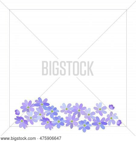 Podsnezhniki_border_1