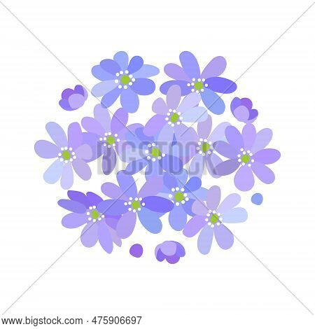 Podsnezhniki_flowers_4