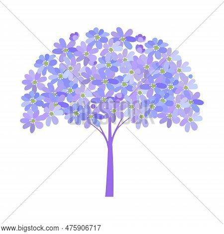 Fantasy Tree Of Blue Violet Spring Blooming Wild Forest Flowers Hepatica On White Background